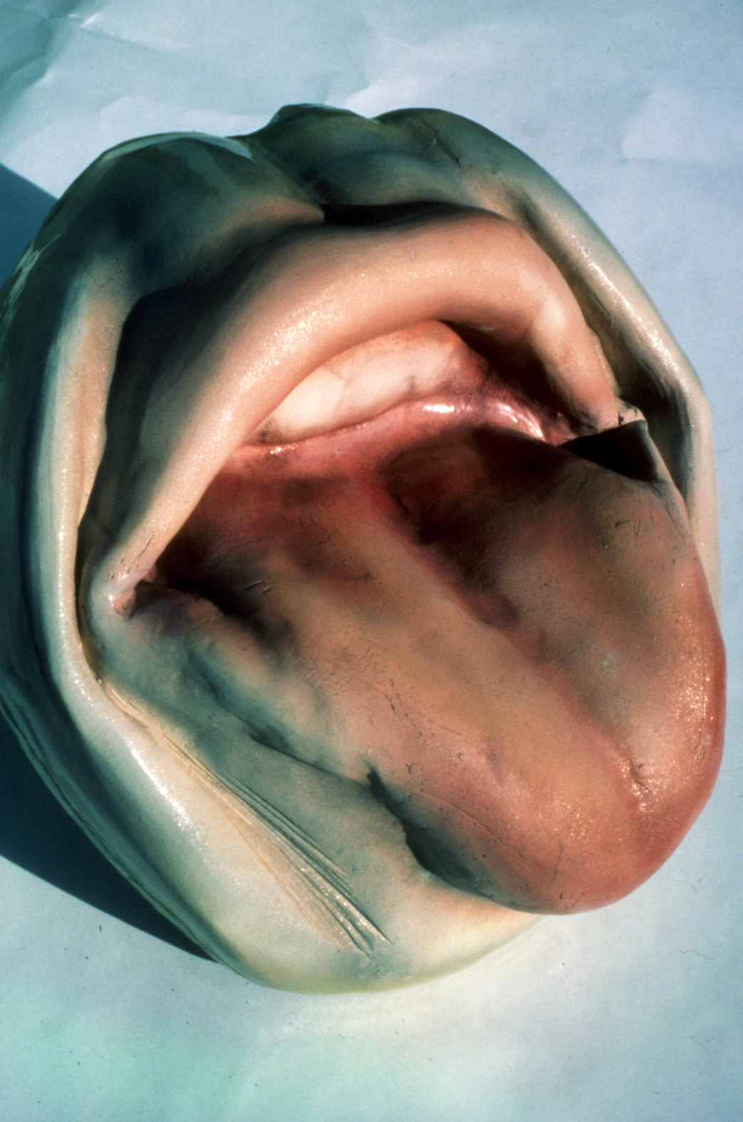 Mouth Tong